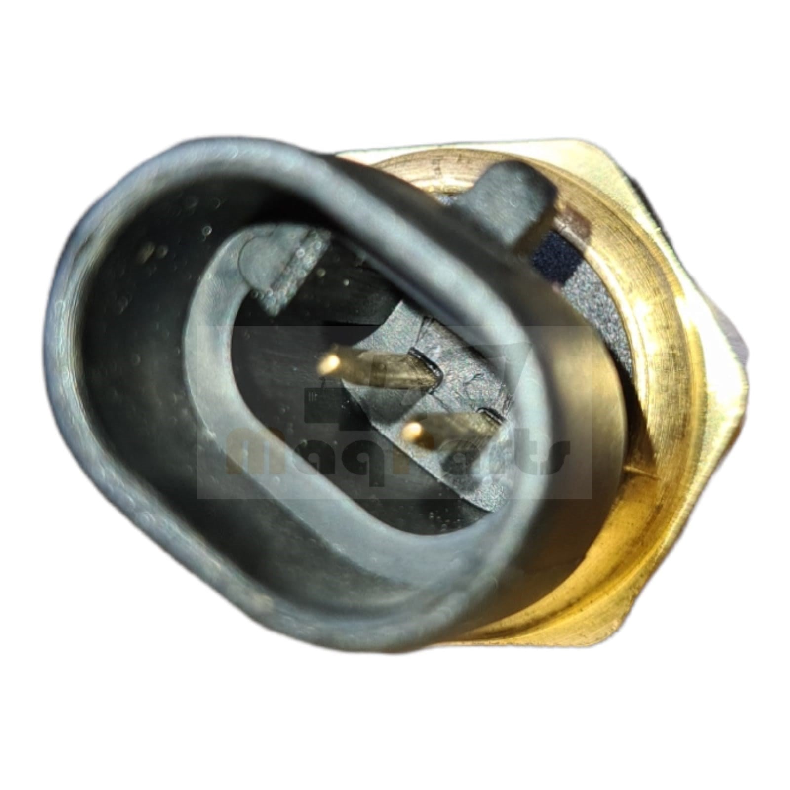 4954905 SENSOR DE REFRIGERANTE de 4954905 para Cummins